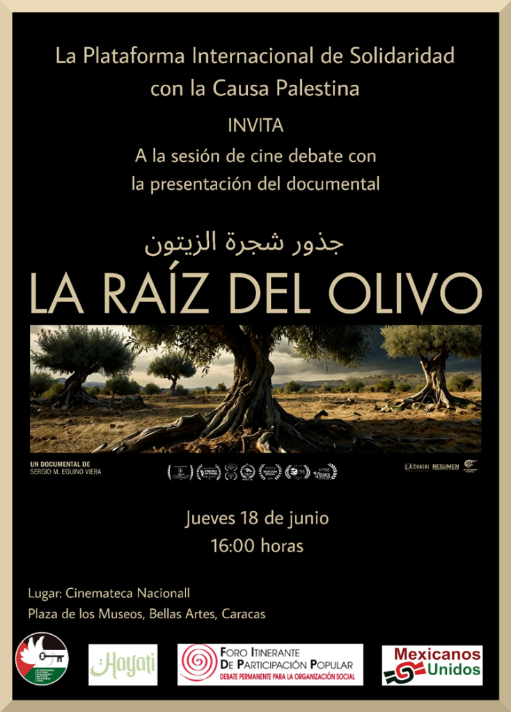 La Raíz del Olivo