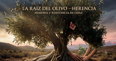 Una imagen cinematográfica y simbólica centrada en un olivo antiguo y retorcido en un paisaje andino de Chile al atardecer. Dos pares de manos, una adulta y arrugada, y una más joven, plantan juntas un pequeño retoño de olivo en la tierra en la base del árbol. Las raíces del árbol principal tienen un patrón sutil de la keffiyeh palestina integrado. Colgando de una rama en la parte superior derecha hay una pequeña bandera palestina y una llave antigua de metal. El texto integrado en la parte superior dice: "LA RAÍZ DEL OLIVO – HERENCIA" (en letras doradas grandes) y "MEMORIA Y RESISTENCIA EN CHILE" (en letras más pequeñas). El fondo muestra montañas andinas y un cielo dramático con luz rosada.