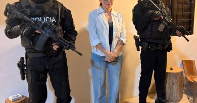 Luisa Gonzalez es detenida